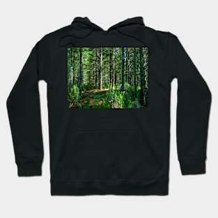 Plantation renewable pine forestry, New Zealand Hoodie